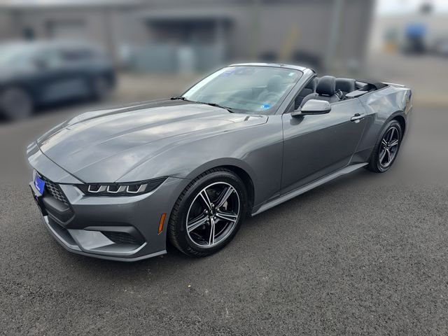 2025 Ford Mustang EcoBoost Premium Convertible's photo