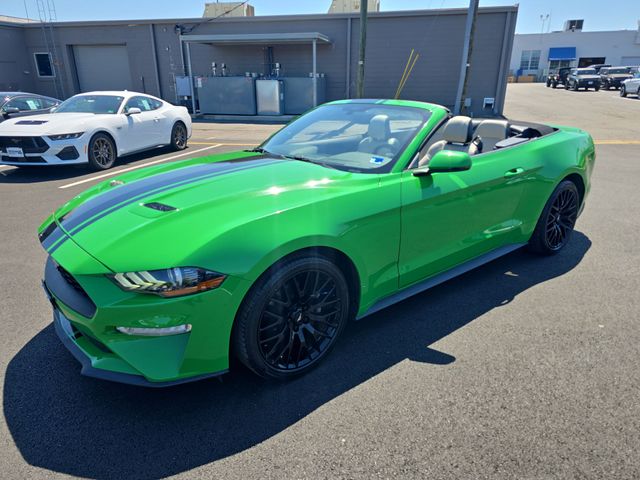 2019 Ford Mustang