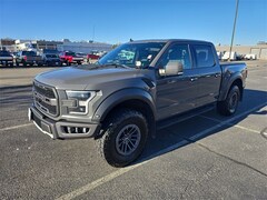 2020 Ford F-150 Raptor Crew Cab Short Bed Truck