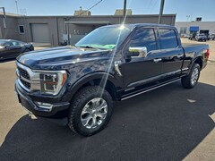 2022 Ford F-150 Platinum Crew Cab