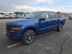 2025 Ford F-150 STX Truck