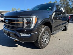 2023 Ford F-150 Tremor Truck