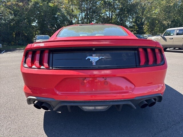 2019 Ford Mustang EcoBoost Premium photo 4