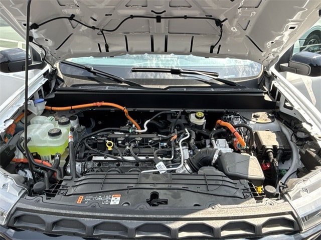 View 24