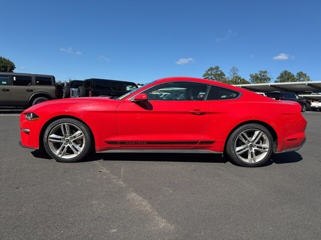 2019 Ford Mustang EcoBoost Premium photo 2
