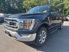 2021 Ford F-150 XLT Truck