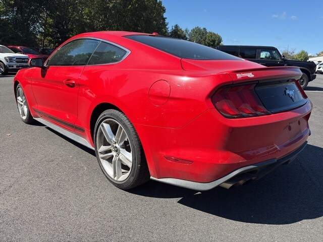 2019 Ford Mustang EcoBoost Premium photo 3