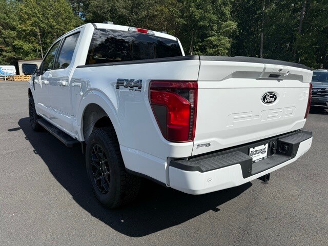 2025 Ford F-150 XLT photo 3
