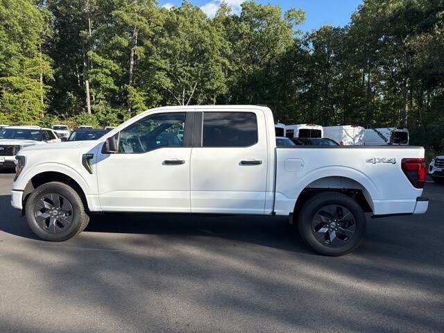 2025 Ford F-150 STX photo 3