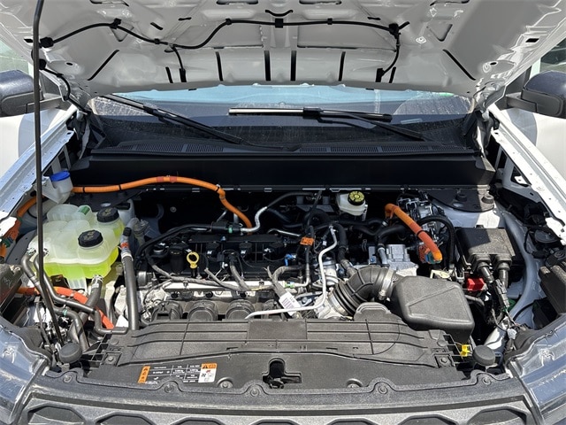 View 24