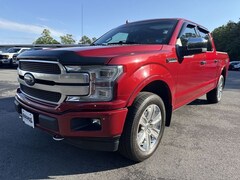 2020 Ford F-150 Platinum Truck