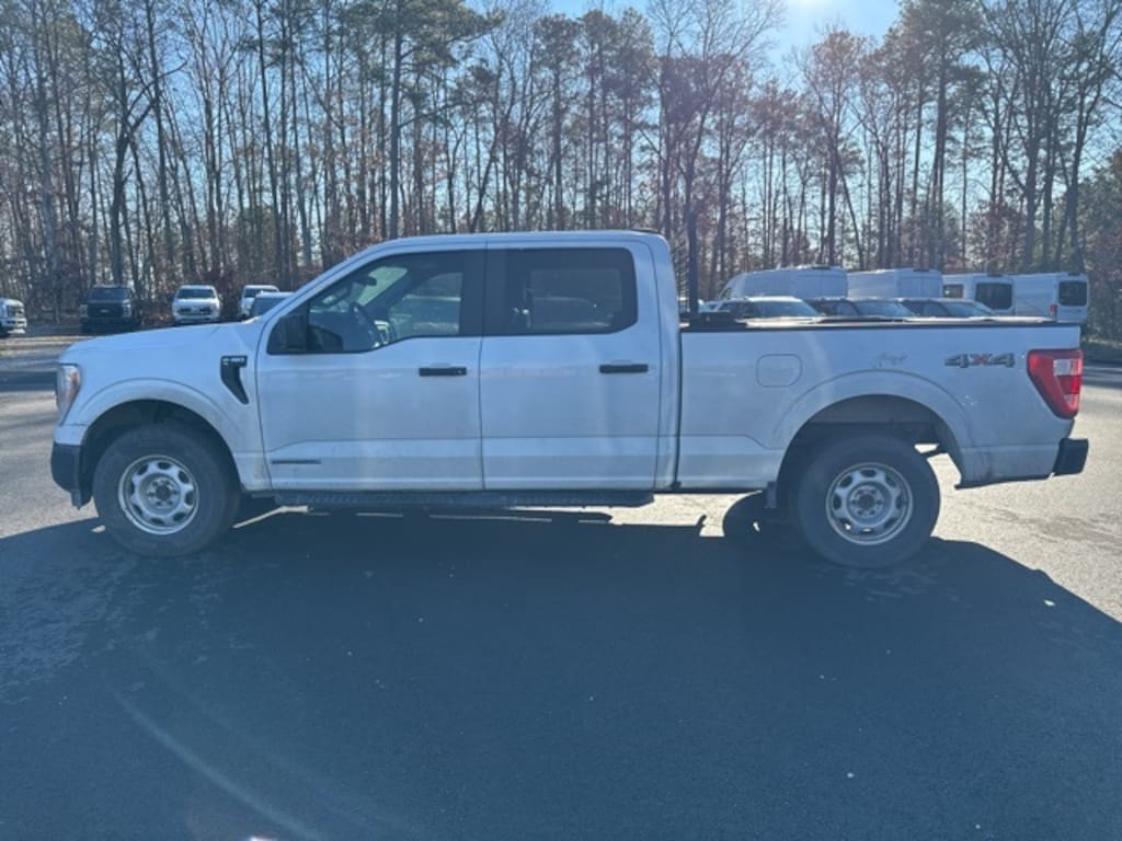 Used 2021 Ford F-150 XL Truck