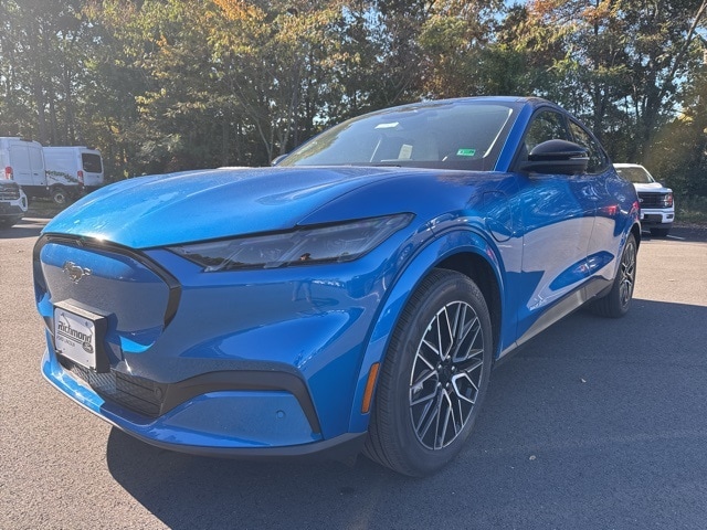 2025 Ford Mustang Mach-E Premium AWD's photo