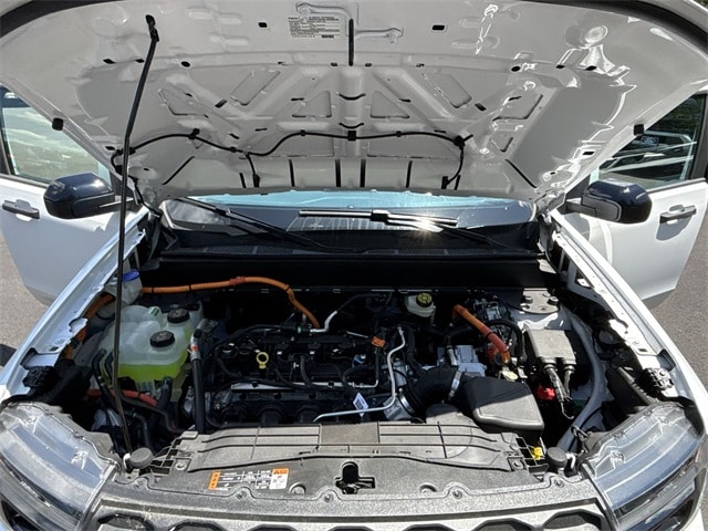 View 25