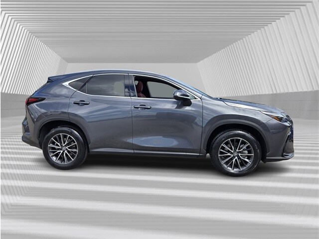 2025 Lexus NX 250 Premium photo 2