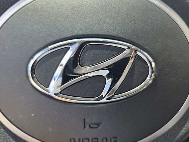 2024 Hyundai Tucson Limited - Photo 30