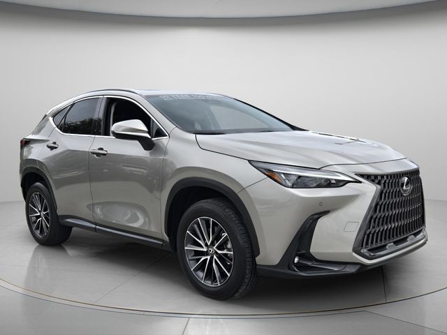 2024 Lexus NX 250 - Photo 9