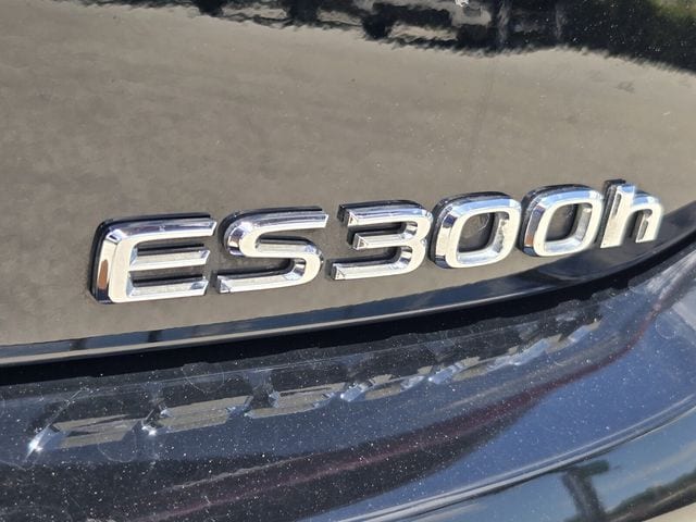 2024 Lexus ES Hybrid 300h F SPORT Handling - Photo 14