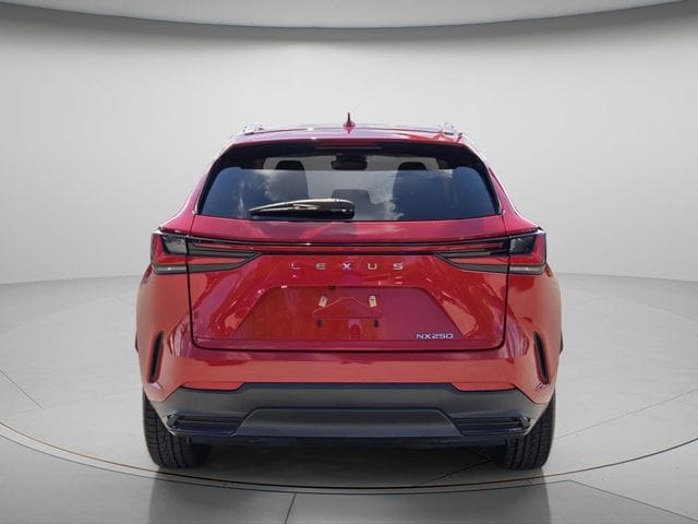 2024 Lexus NX 250 - Photo 6