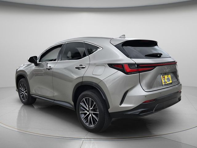 2024 Lexus NX 250 - Photo 8