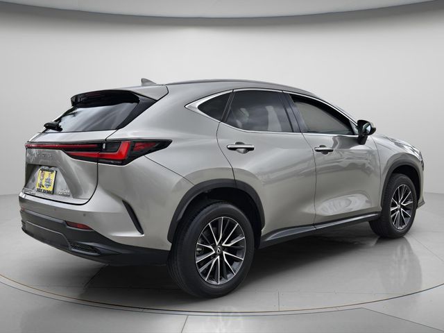 2024 Lexus NX 250 - Photo 7