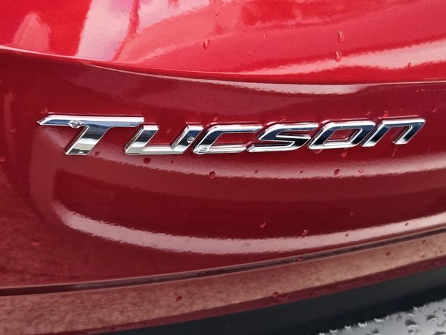 2024 Hyundai Tucson Limited - Photo 10