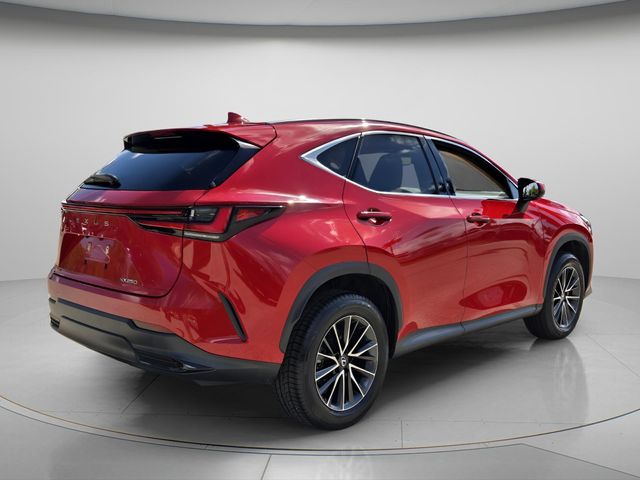 2024 Lexus NX 250 - Photo 7