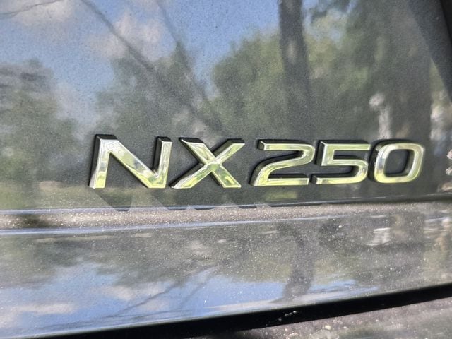 2023 Lexus NX 250 - Photo 11