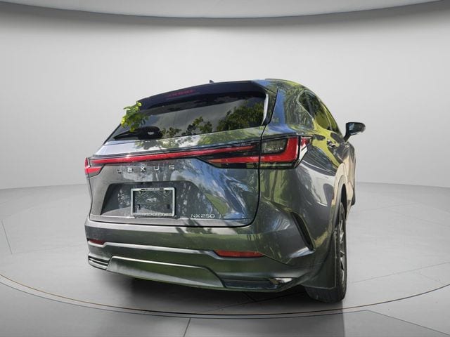 2023 Lexus NX 250 - Photo 7