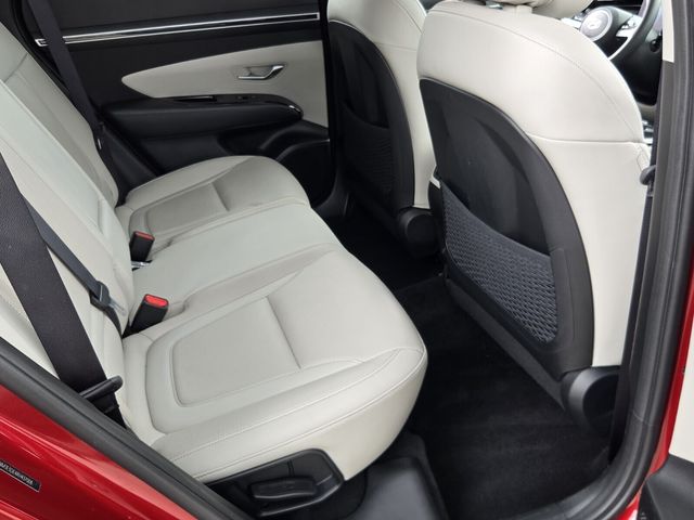 2024 Hyundai Tucson Limited - Photo 15