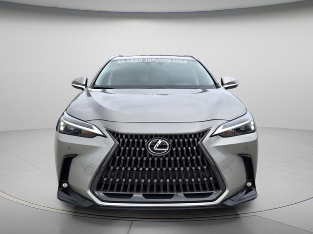 2024 Lexus NX 250 - Photo 4