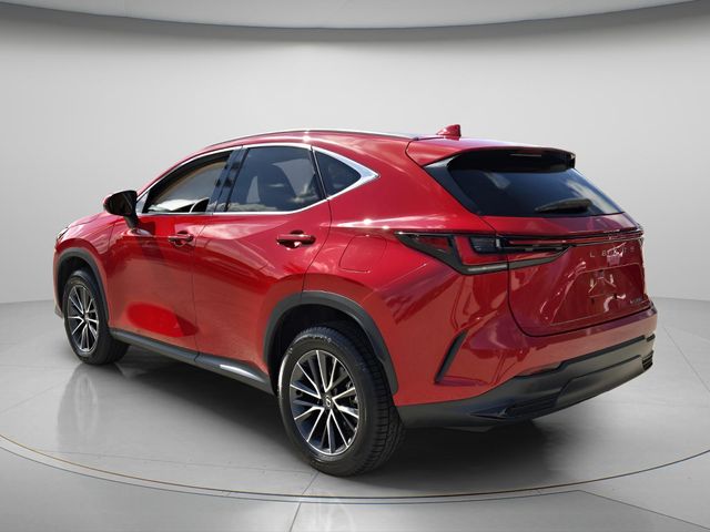 2024 Lexus NX 250 - Photo 8