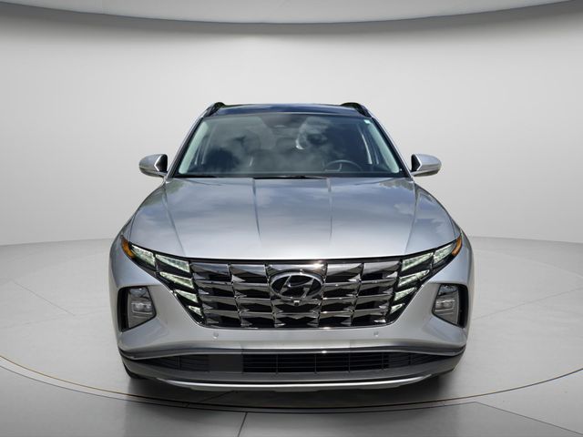2024 Hyundai Tucson Limited - Photo 4