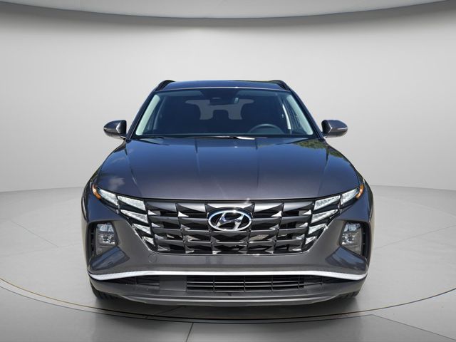2023 Hyundai Tucson SEL - Photo 4
