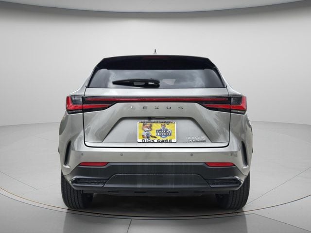 2024 Lexus NX 250 - Photo 6
