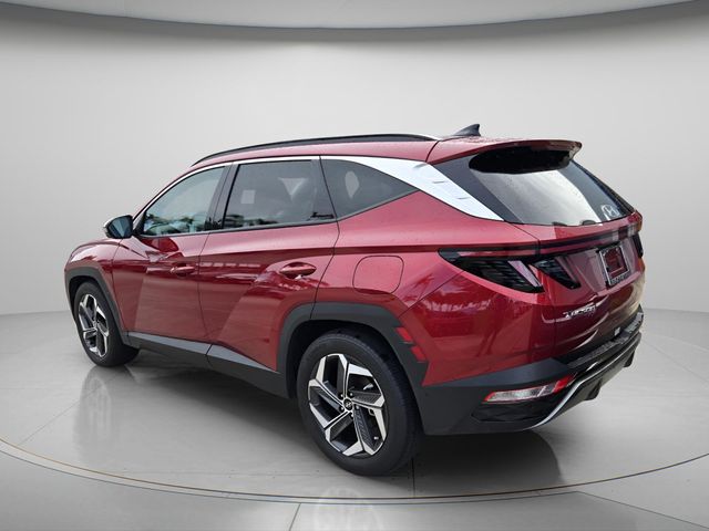 2024 Hyundai Tucson Limited - Photo 6