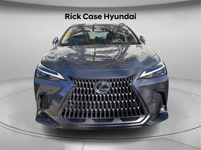 2024 Lexus NX 250 Premium photo 2