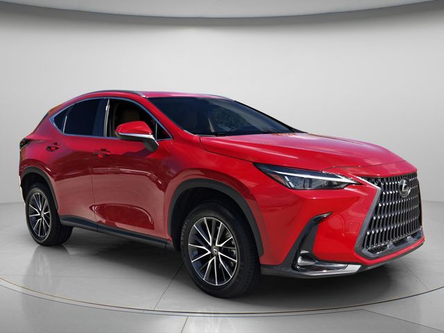 2024 Lexus NX 250 - Photo 9