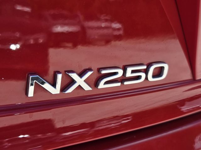 2024 Lexus NX 250 - Photo 14