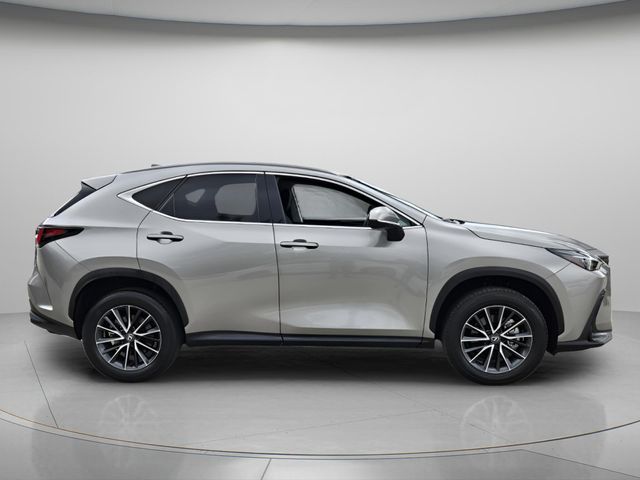 2024 Lexus NX 250 - Photo 5