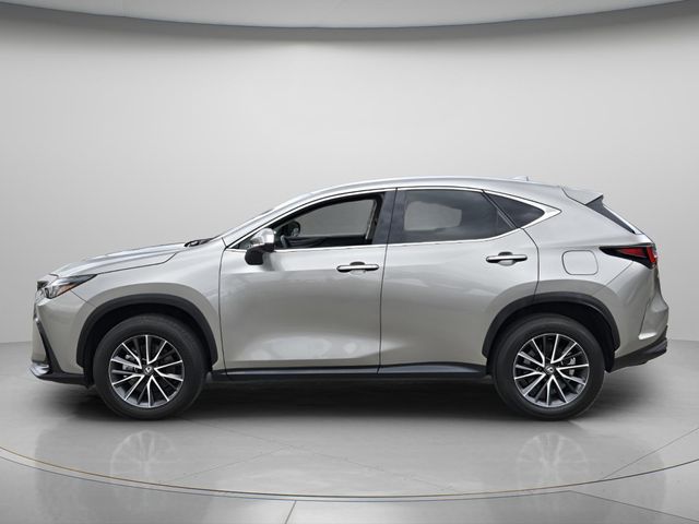 2024 Lexus NX 250 - Photo 3