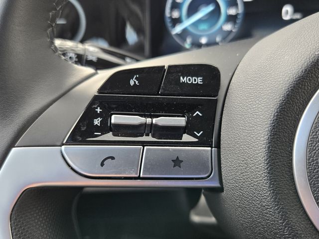 2025 Hyundai Elantra Limited - Photo 22