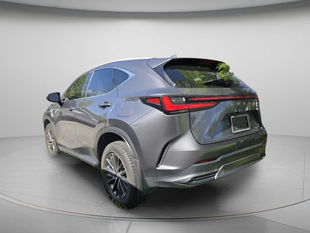 2023 Lexus NX 250 - Photo 6