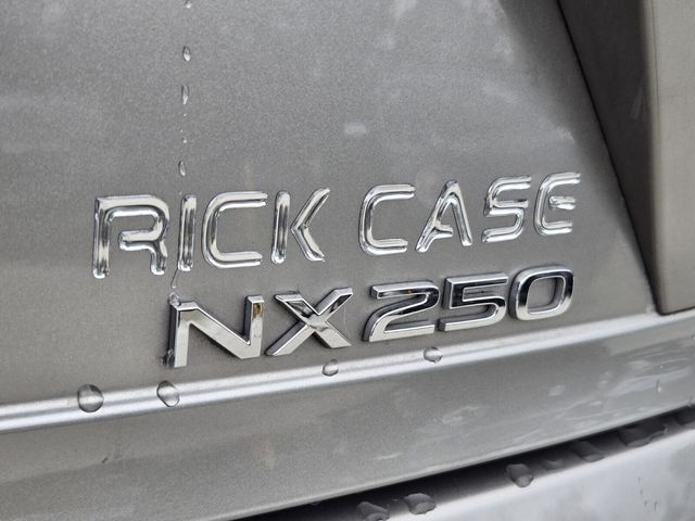 2024 Lexus NX 250 - Photo 14