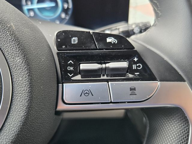 2025 Hyundai Elantra Limited - Photo 21