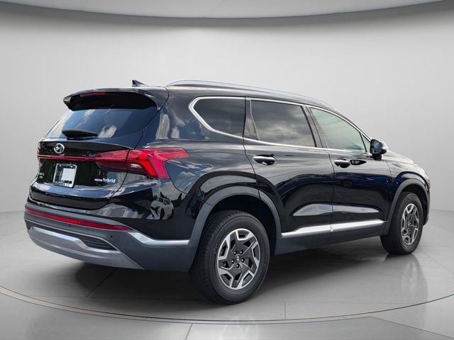 2023 Hyundai Santa Fe Blue - Photo 6