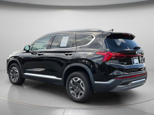2023 Hyundai Santa Fe Blue - Photo 8