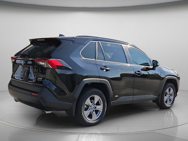 2025 Toyota RAV4 XLE - Photo 7