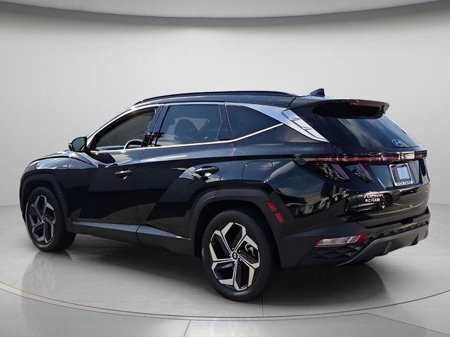 2024 Hyundai Tucson Limited - Photo 6