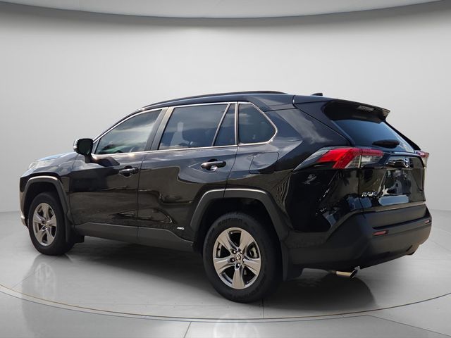 2025 Toyota RAV4 XLE - Photo 6